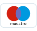 logo maestro